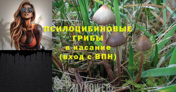 ALPHA PVP Осташков